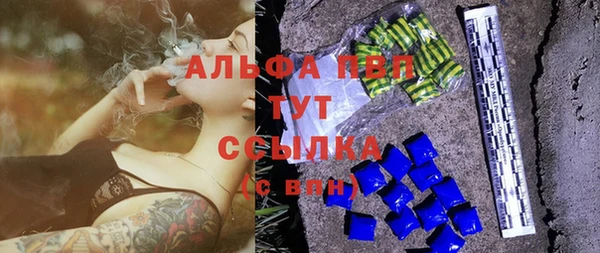 стаф Новодвинск